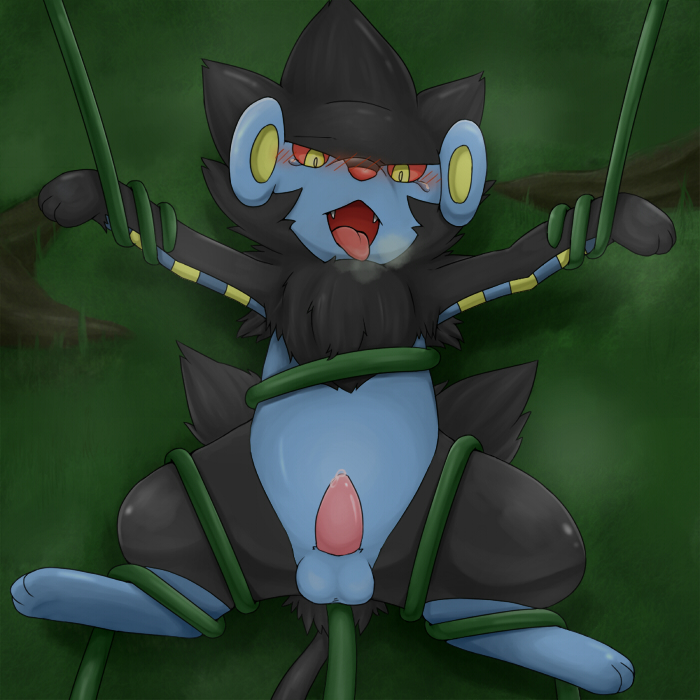 Post Luxray Porkyman