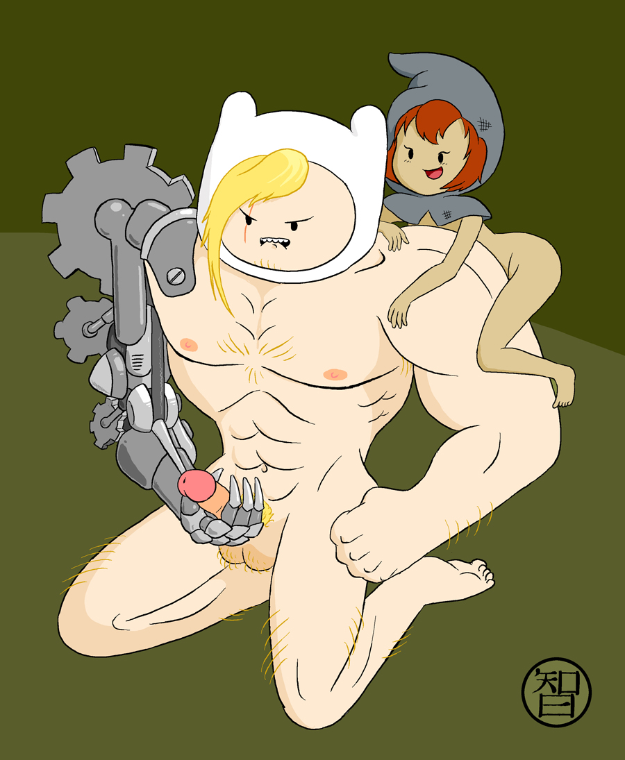 Post Adventure Time Coldfusion Finn The Human Penny