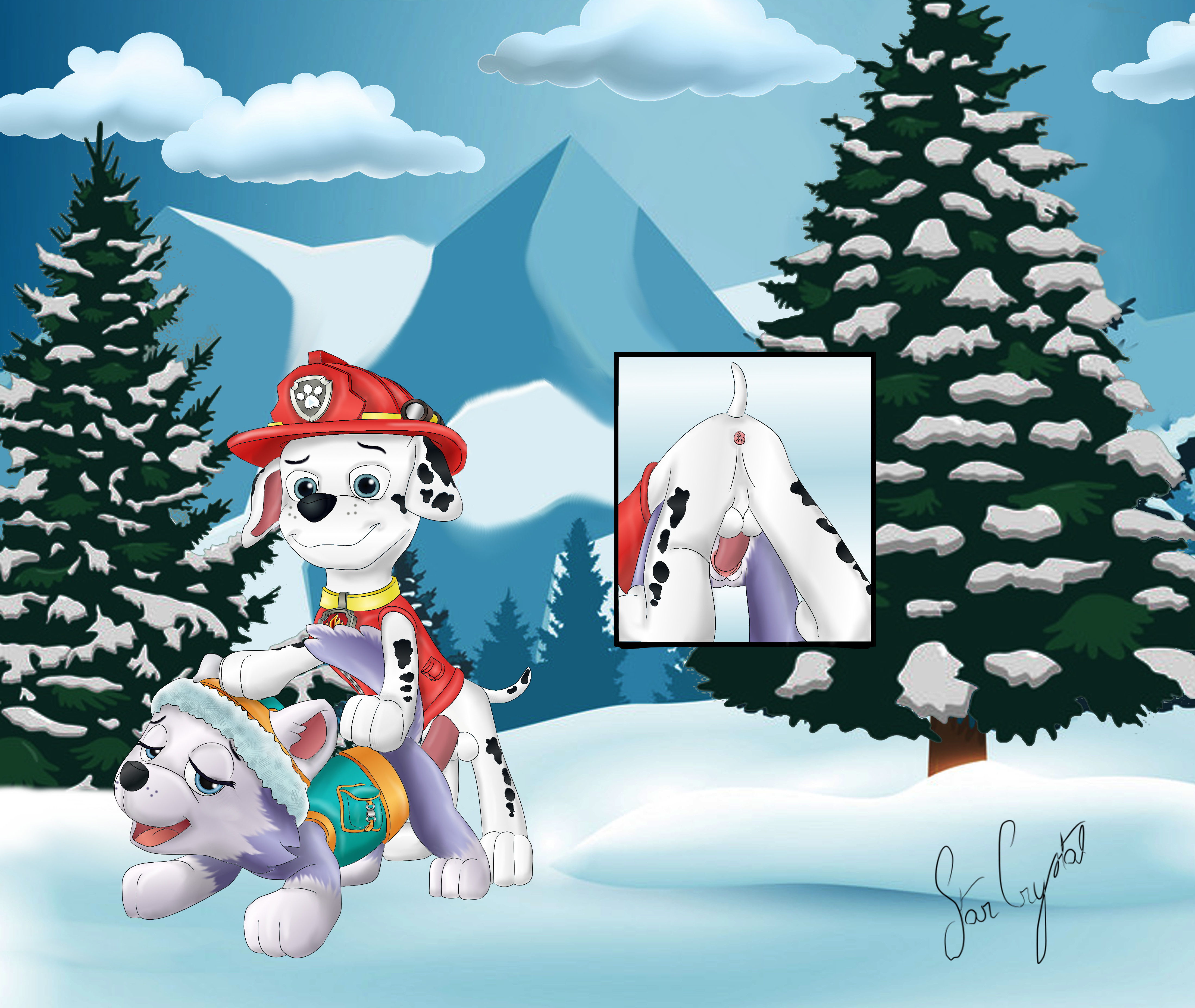 Post 4573548 Everest Marshall Paw Patrol TrueStarCrystal