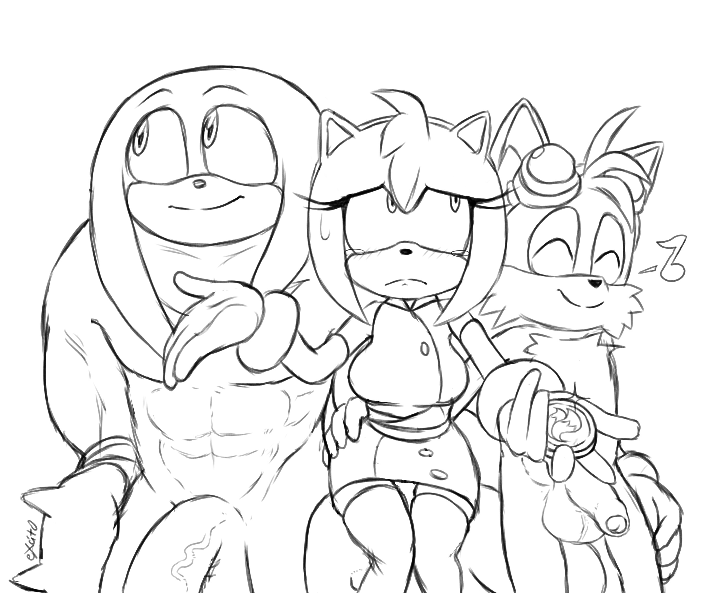 Post Amy Rose Excito Knuckles The Echidna Sonic Boom Sonic The Hedgehog Series Tails