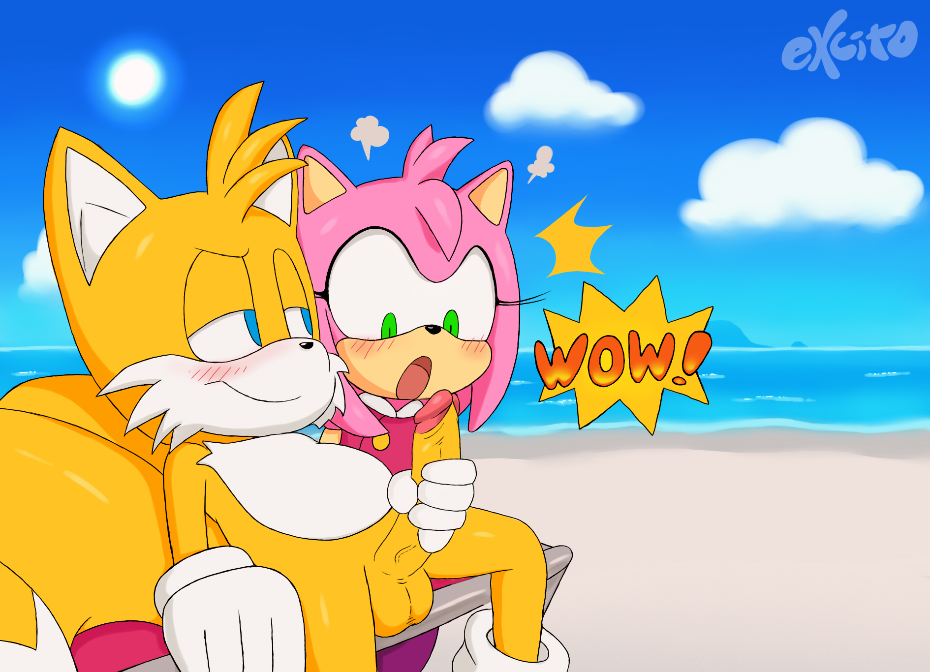 Post Amy Rose Excito Sonic Boom Sonic The Hedgehog Series Tails