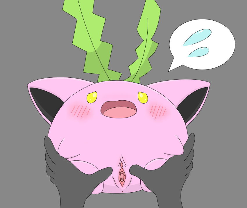 Hoppip Porkyman minamipoke