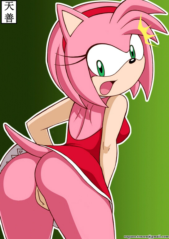Amy Rose Sonic X Porn - Post 398475: Amy_Rose Sonic_the_Hedgehog_(series) Tenzen