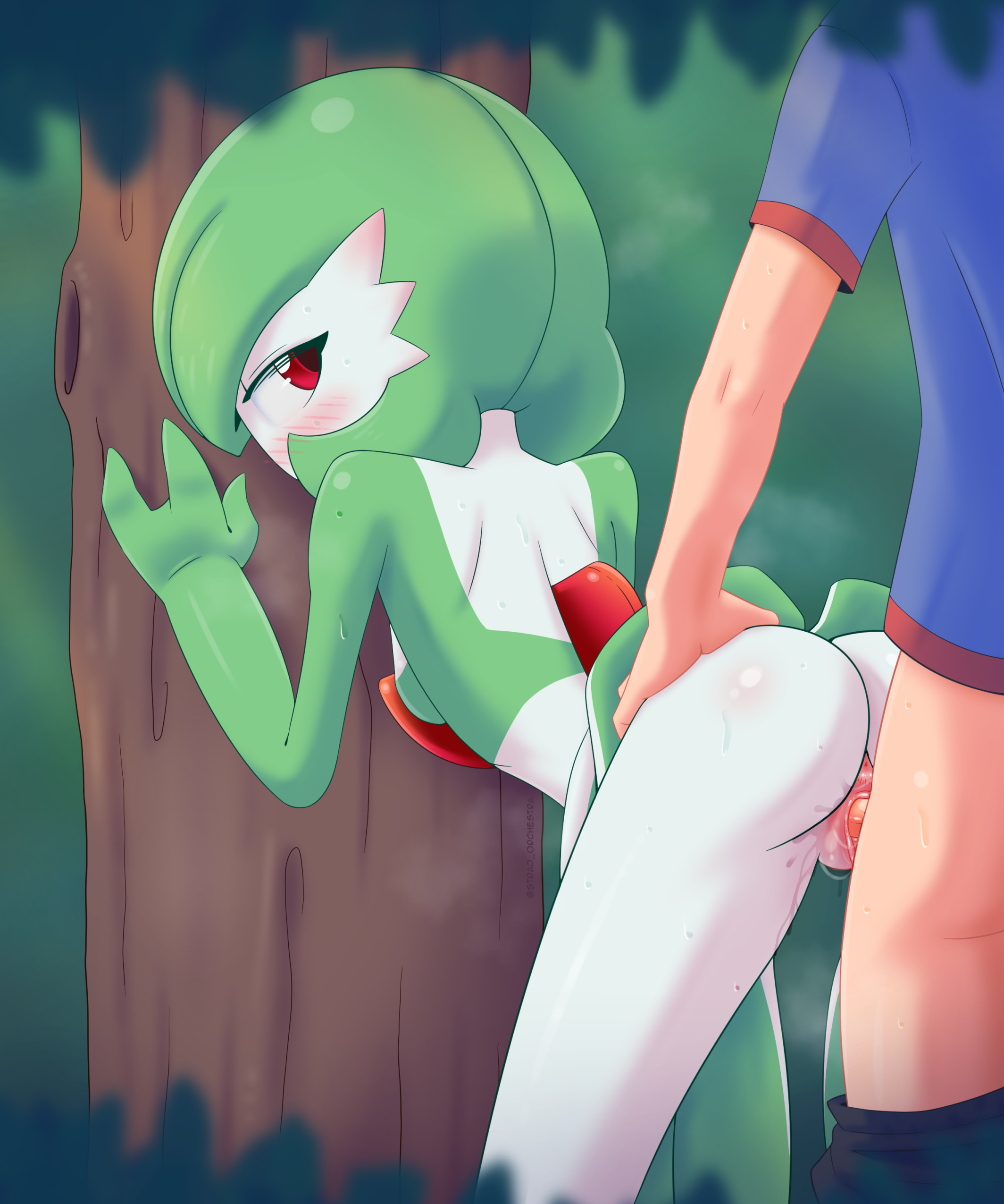 Gardevoir Porkyman stradivarius