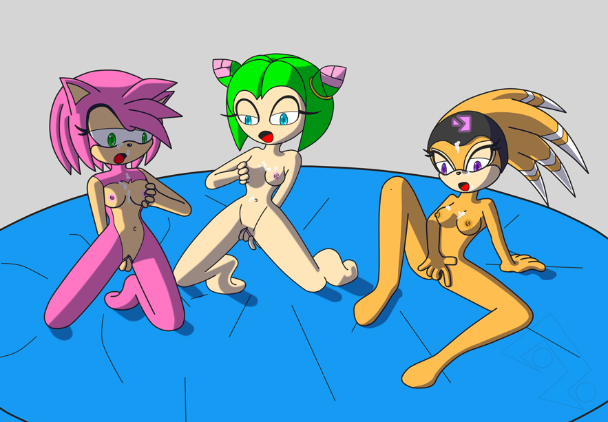 Amy_Rose Cosmo_the_Seedrian Shade_the_Echidna Sonic_X Sonic_the_Hedgehog_(series)