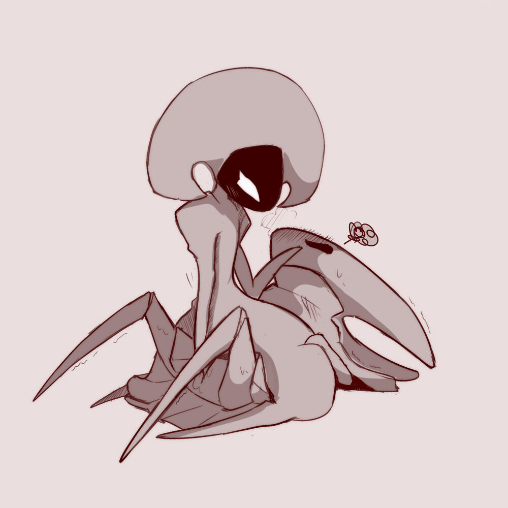 Post 3326328 Hollowknight Hornet Lace 3773
