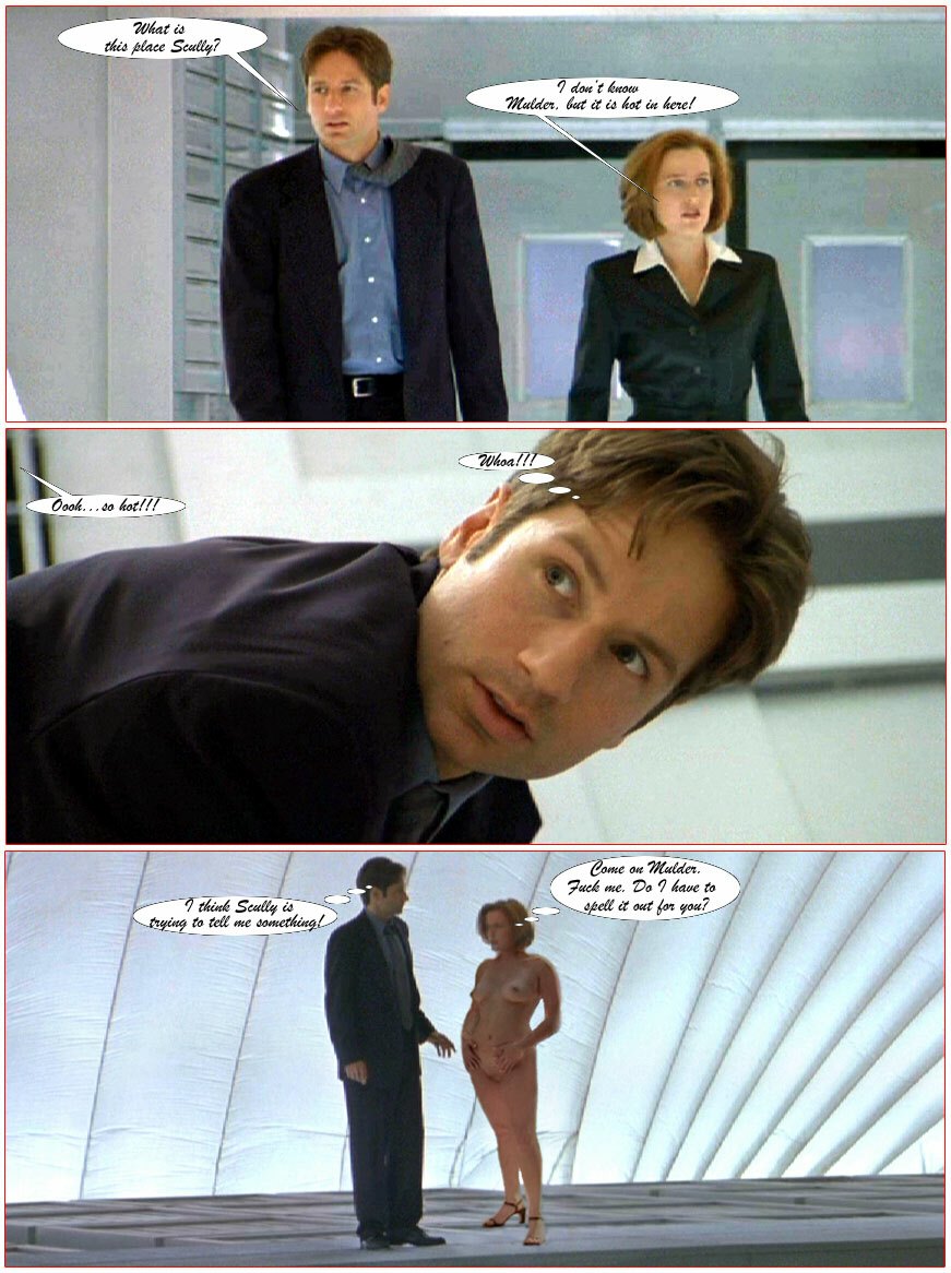 Post 1608988 Danascully Davidduchovny Fakes Foxmulder Gilliananderson X Files 4201