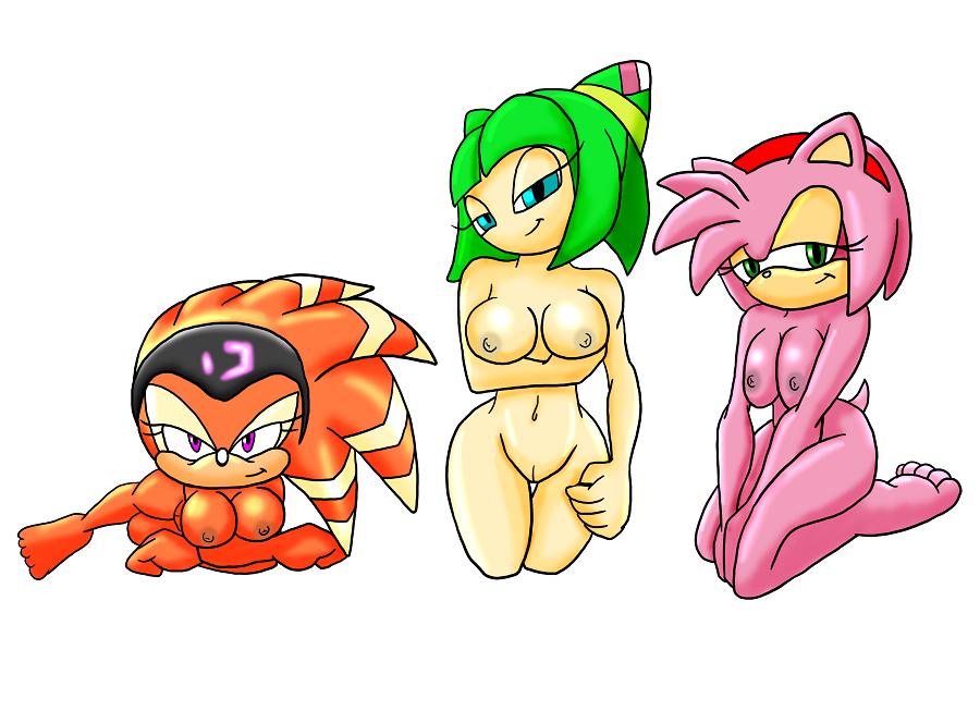 Amy_Rose Cosmo_the_Seedrian Shade_the_Echidna Sonic_X Sonic_the_Hedgehog_(series) TheGeckoDemon