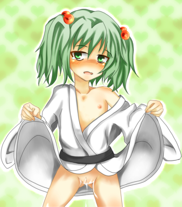 Touhou kisume zamudelin