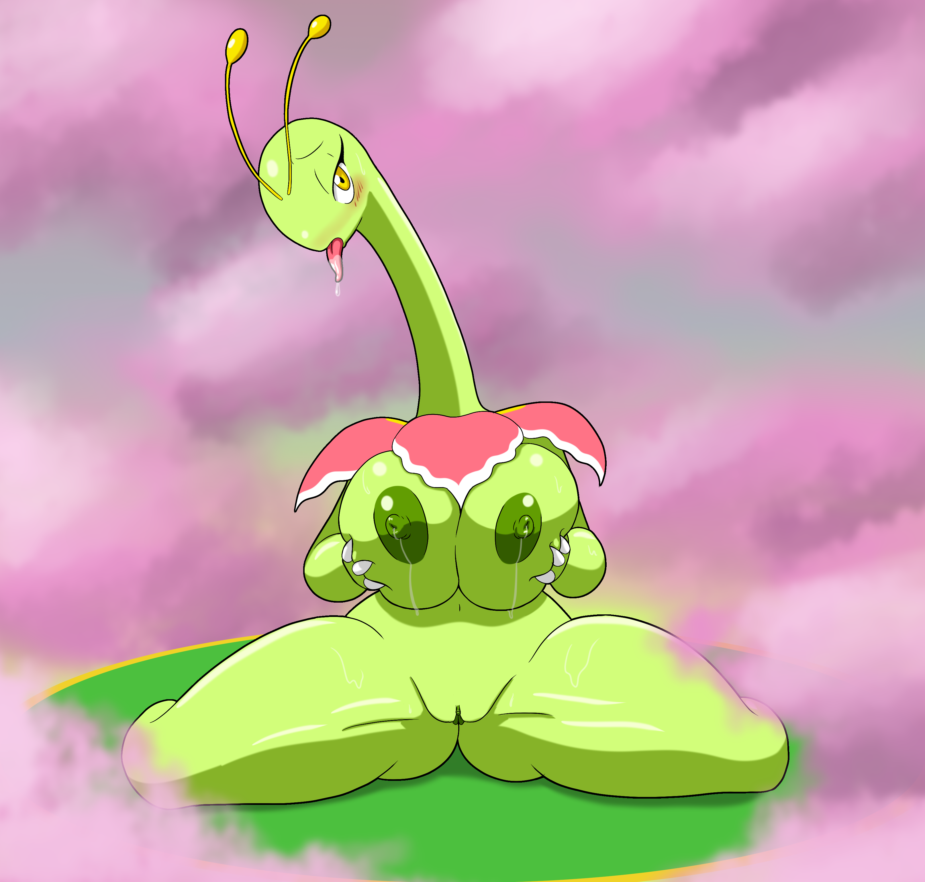 Meganium Porkyman tansau