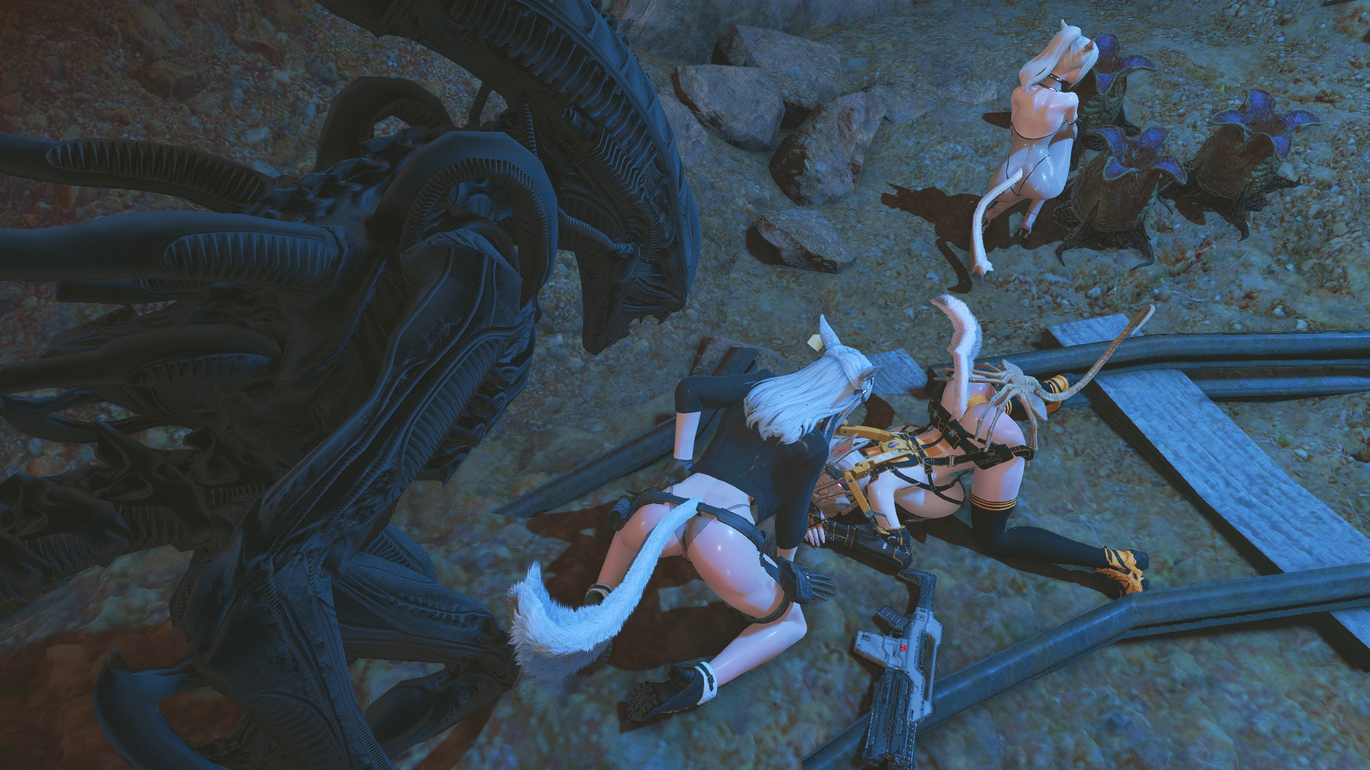 Final_Fantasy_(series) Final_Fantasy_XIV Miqo'te
