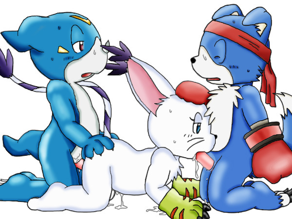 Digimon Gaomon Gatomon MewtwoX Veemon