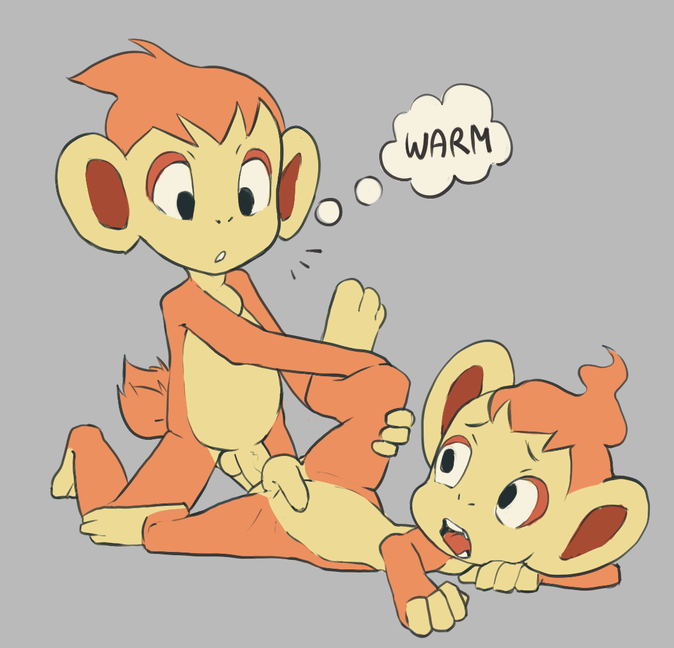 Chimchar Porkyman finegan