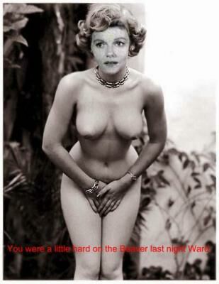 June Cleaver Porn - Post 699672: Barbara_Billingsley fakes June_Cleaver Leave_It_to_Beaver