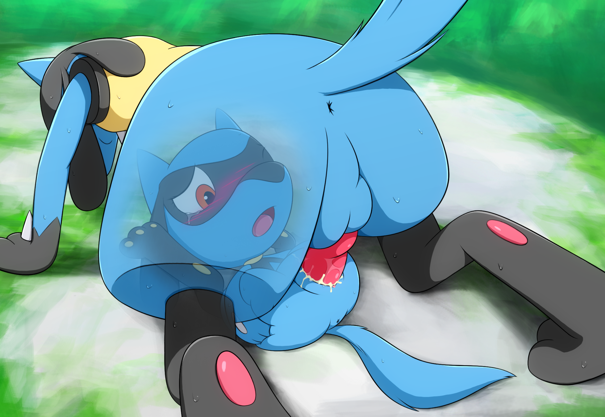 Lucario Porkyman Riolu dancingchar