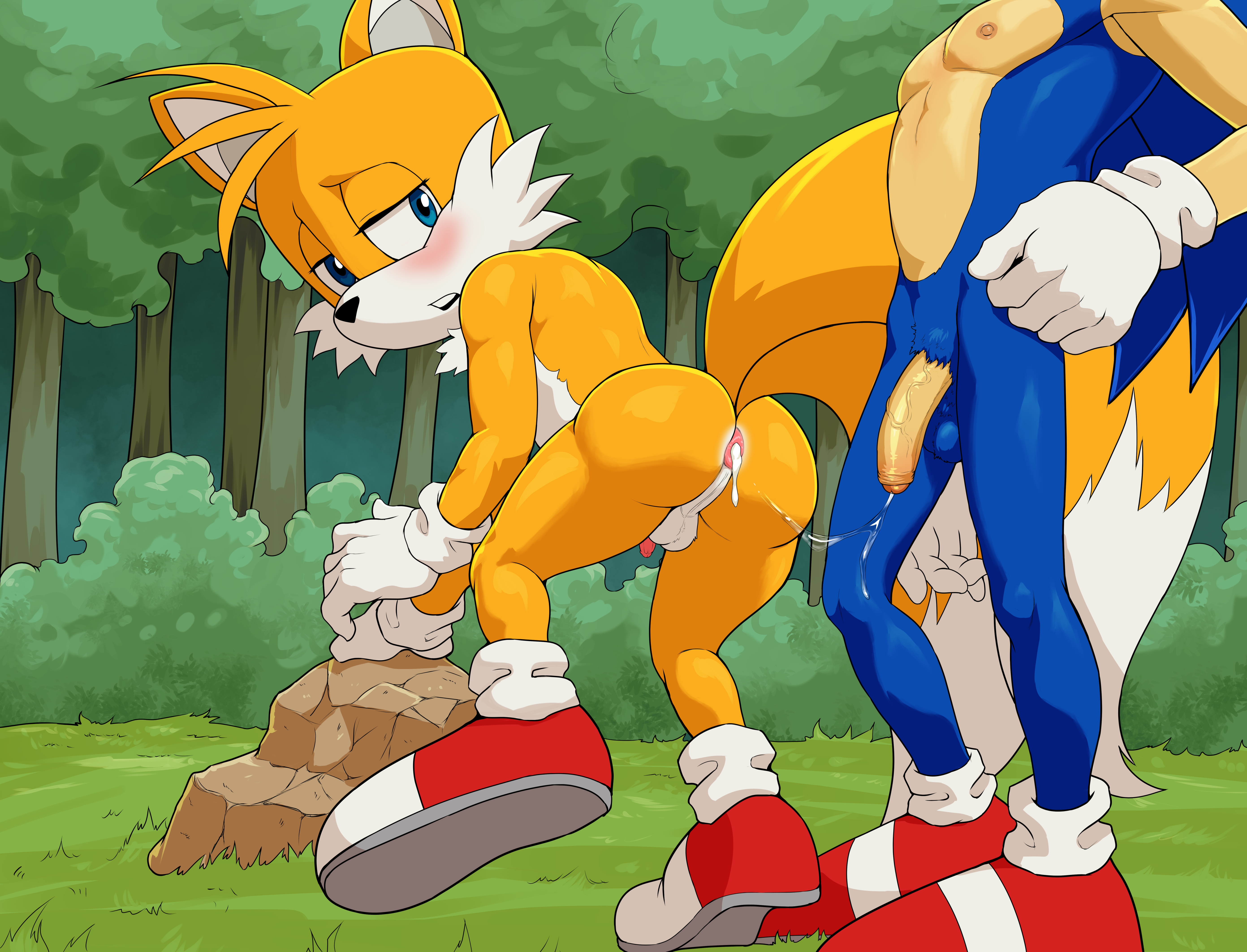 Sonic x tails sexo