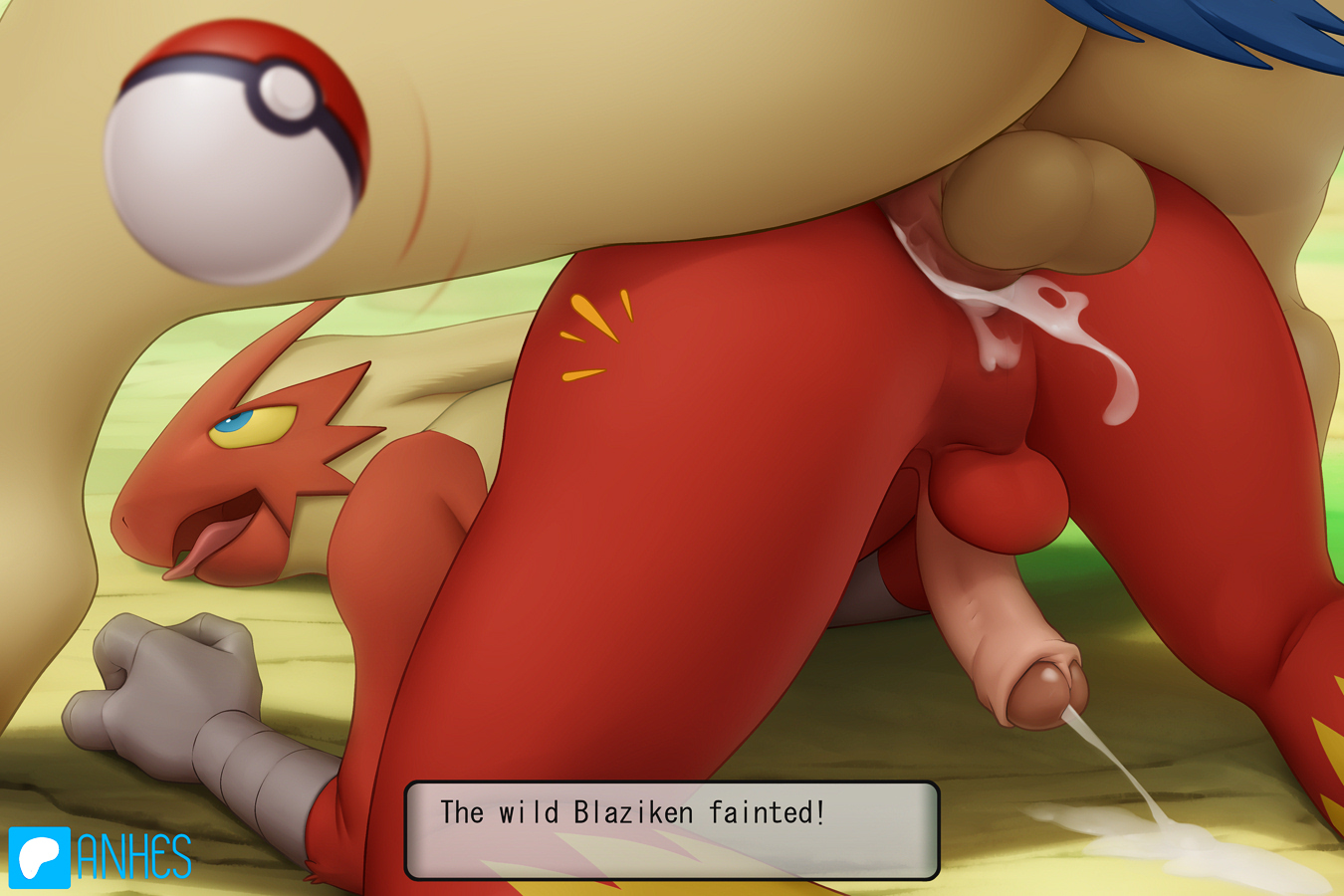 Anhes Blaziken Porkyman Typhlosion