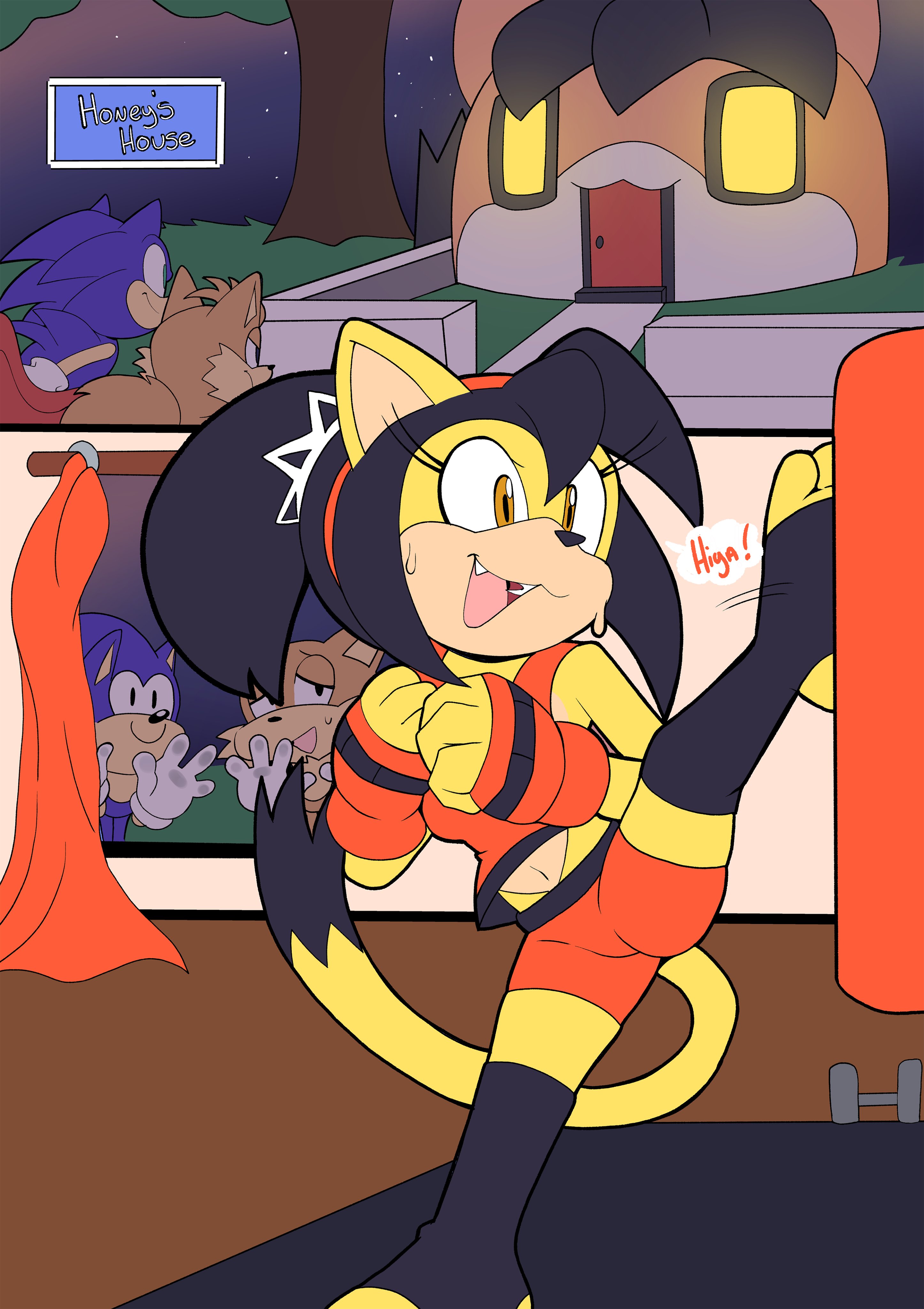 Post 5663880 Comic Honey The Cat Senshion Sonic The Hedgehog Series Tails