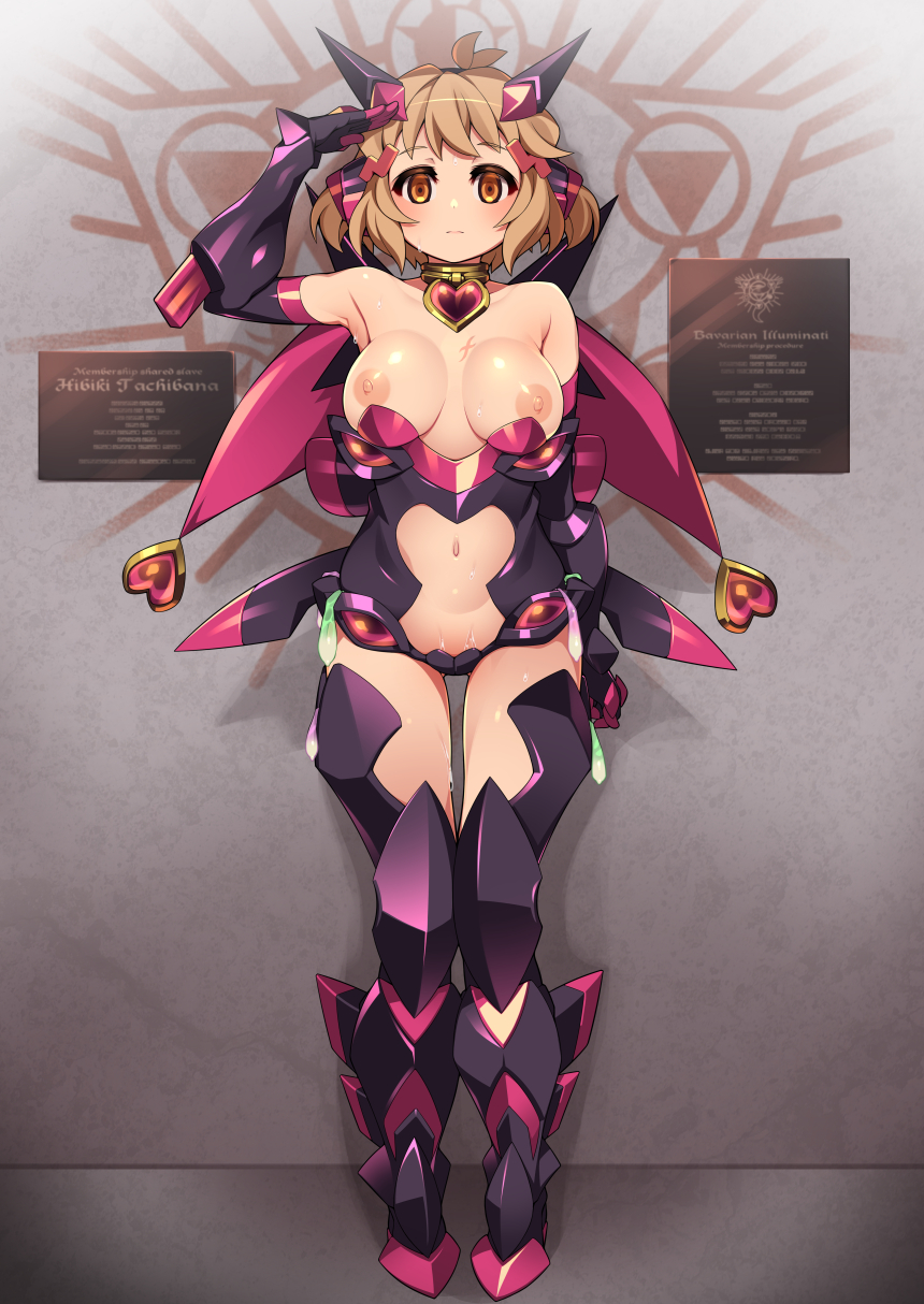 Gummyrise Hibiki_Tachibana Symphogear