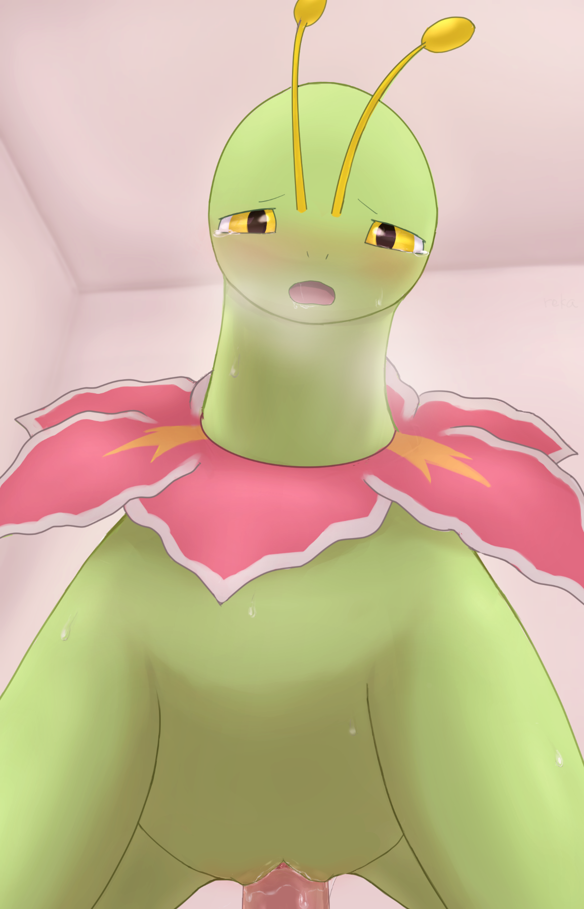 Meganium Porkyman reka