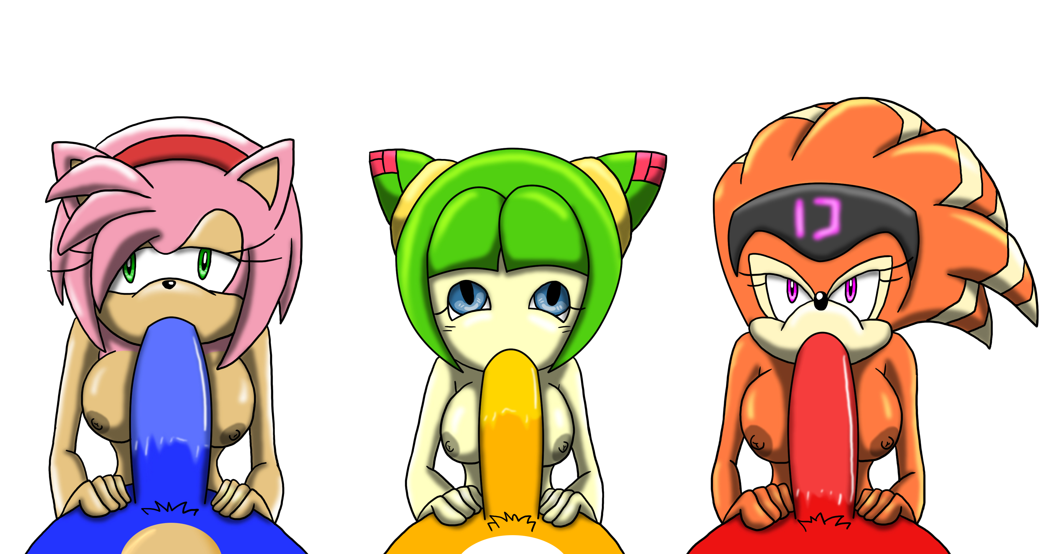 Amy_Rose Cosmo_the_Seedrian Knuckles_the_Echidna Shade_the_Echidna Sonic_X Sonic_the_Hedgehog Sonic_the_Hedgehog_(series) Tails TheGeckoDemon