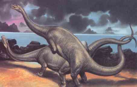 Brontosaurus dinosaur