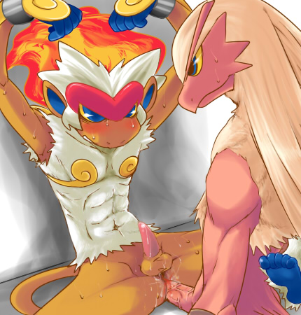 Agemono Blaziken Infernape Porkyman