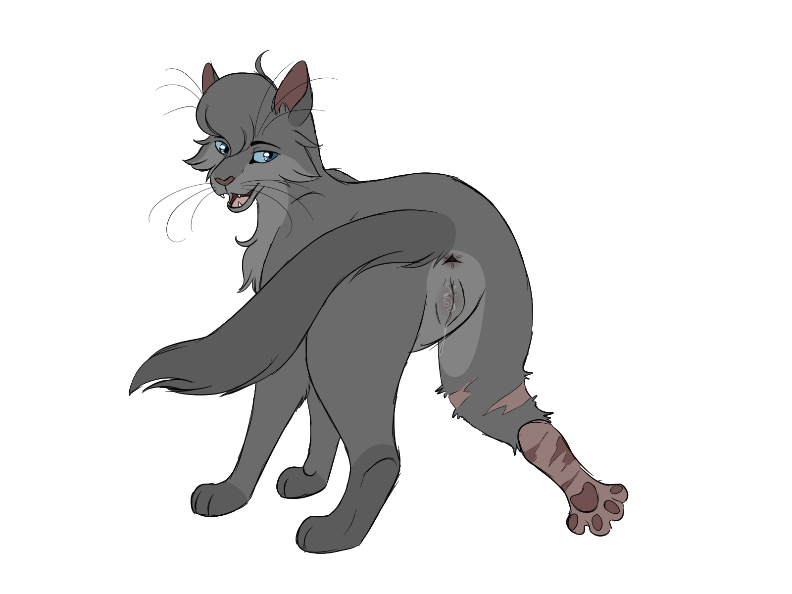 Post 4381317 Barkfur Cinderpelt Warriorcats