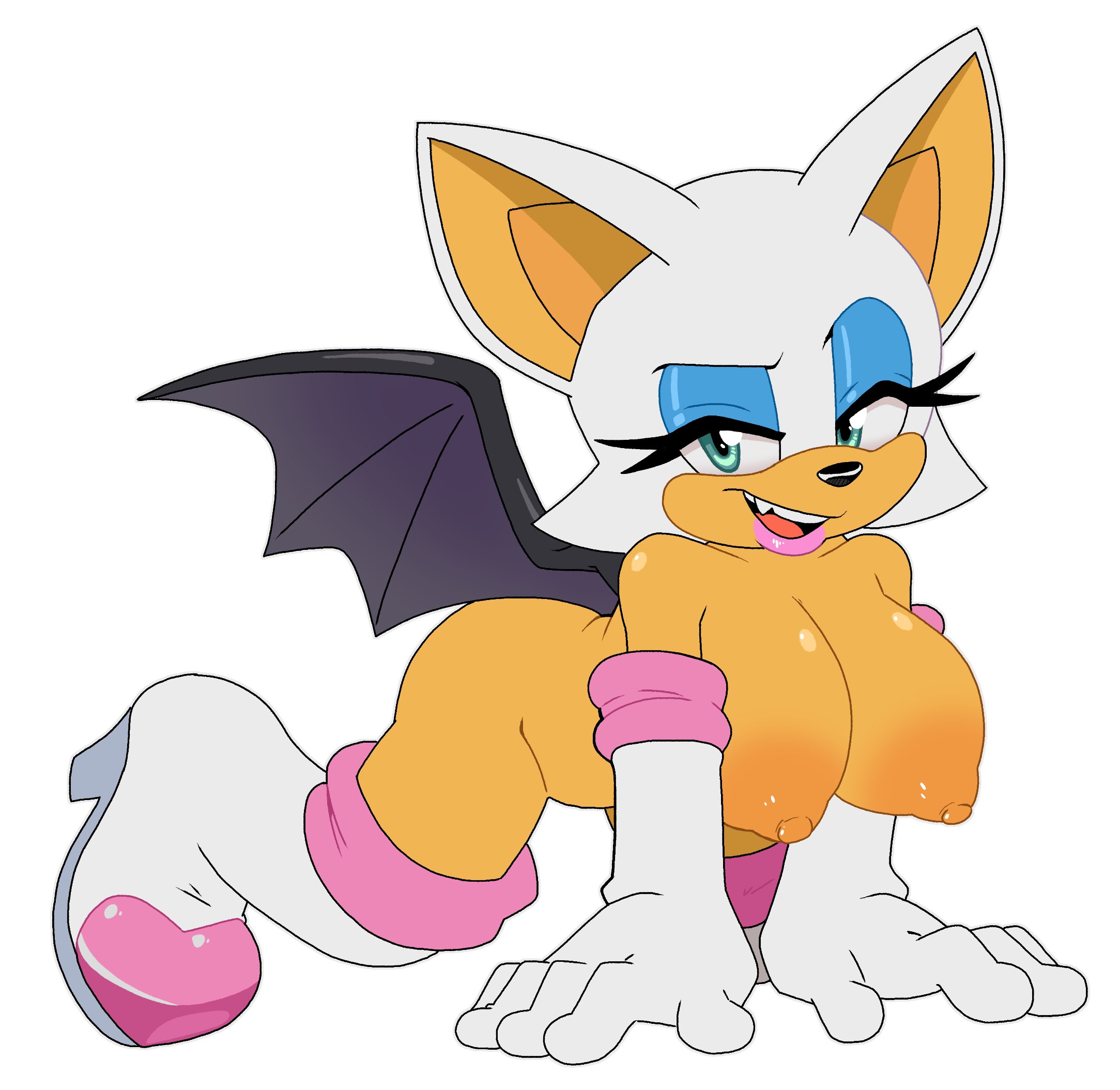 LeatherRuffian Rouge_the_Bat Sonic_the_Hedgehog_(series)