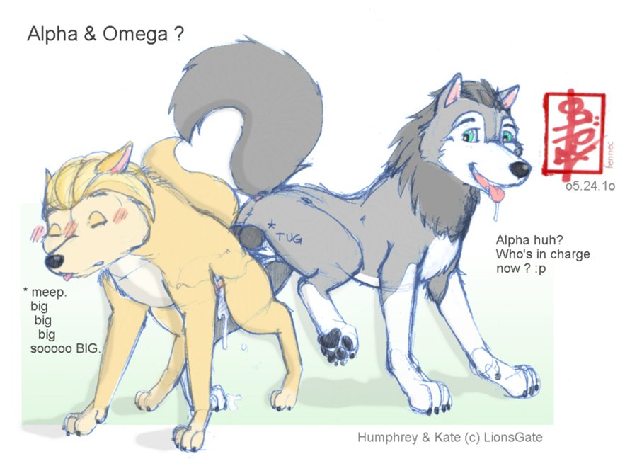 Alfa And Omega Porn - Post 541688: Alpha_and_Omega Fennec Humphrey Kate