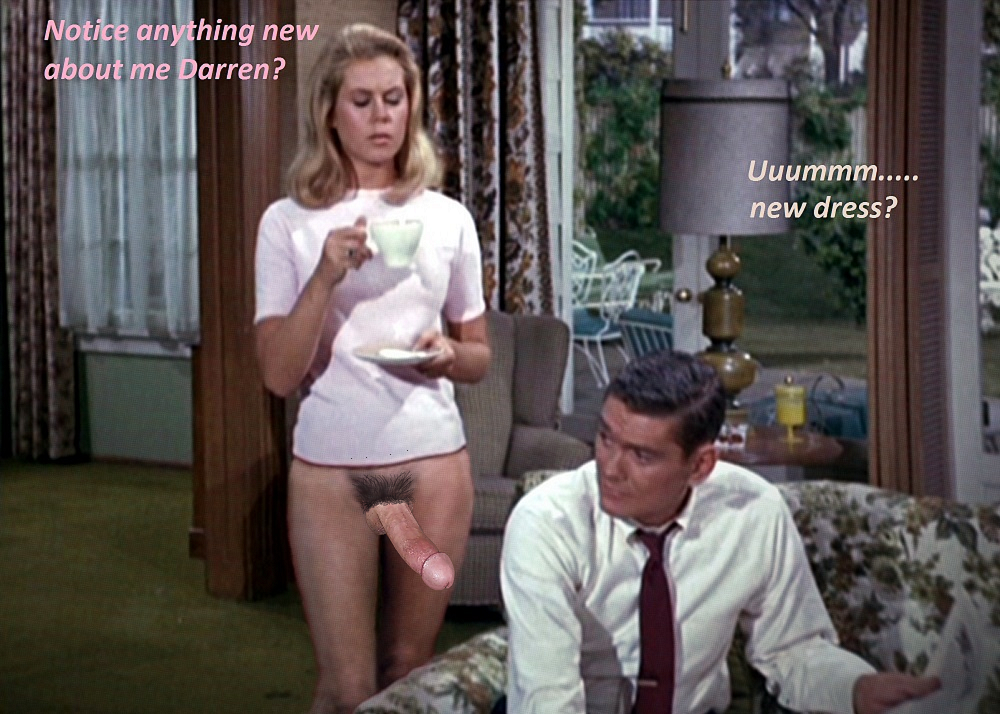 Post 1525628 Bewitched Darrinstephens Dickyork Elizabethmontgomery Fakes Samanthastephens 2294