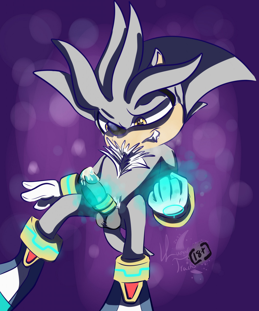 LunaOfMidnight Silver_the_Hedgehog Sonic_the_Hedgehog_(series)