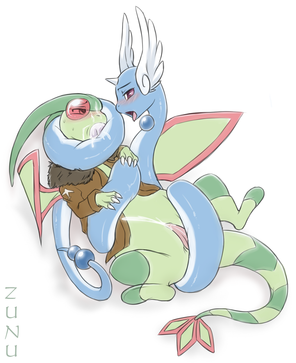 Dragonair Flygon Porkyman