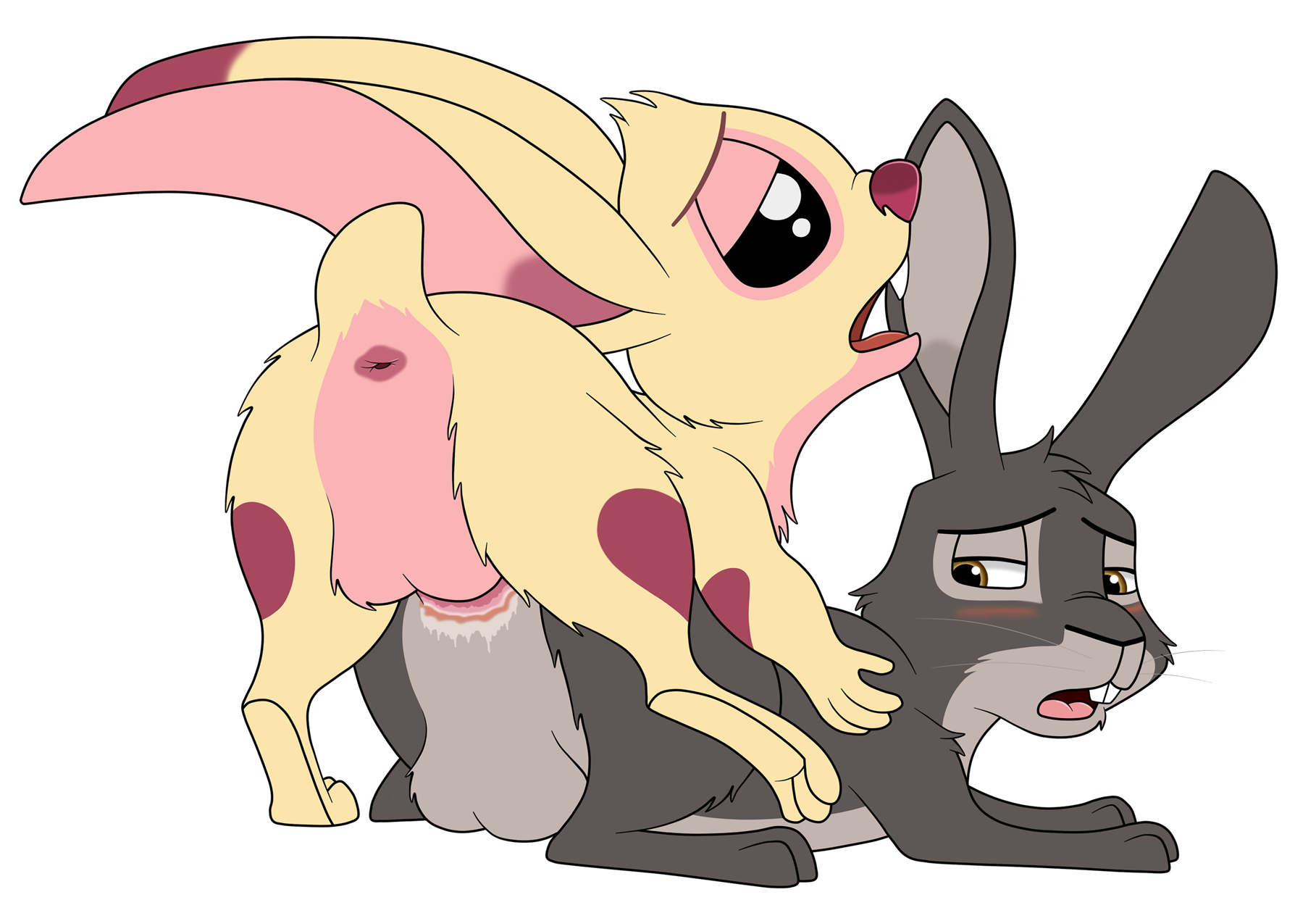 Hawkbit Houdini Lilo_and_Stitch SkaterYena Watership_Down crossover