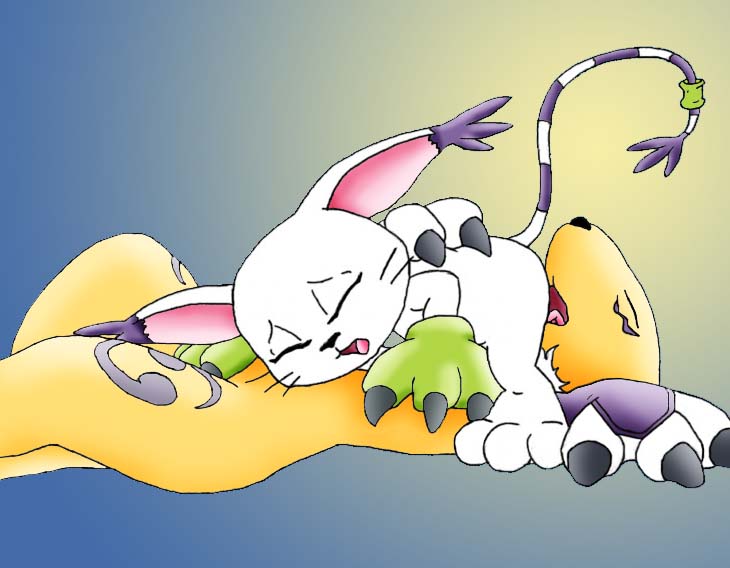 Digimon Gatomon MewtwoX Renamon