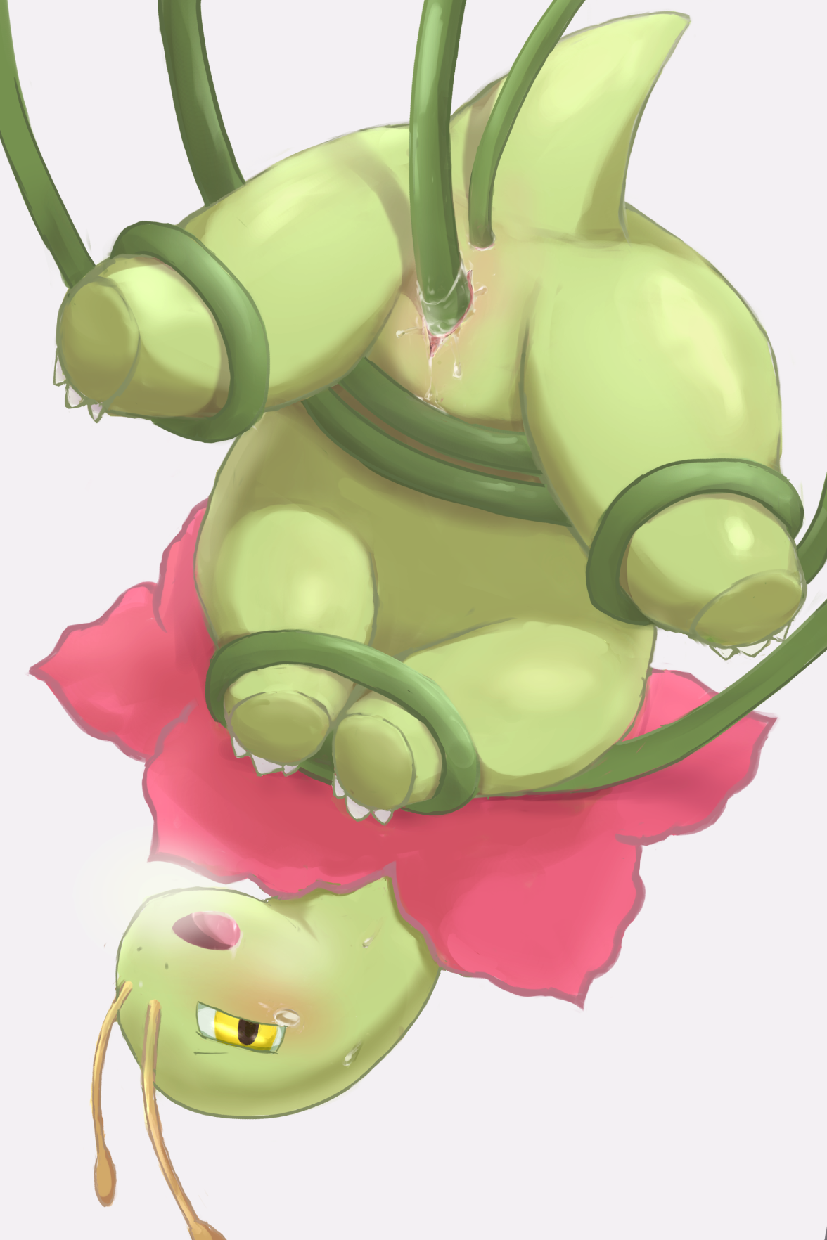 Meganium Porkyman reka