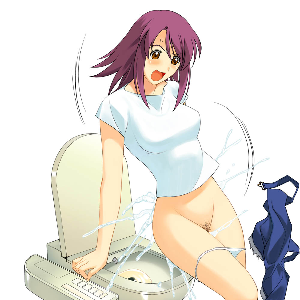 Anime Toilet Scat Porn - Post 25612: Kaleido_Star Sora_Naegino