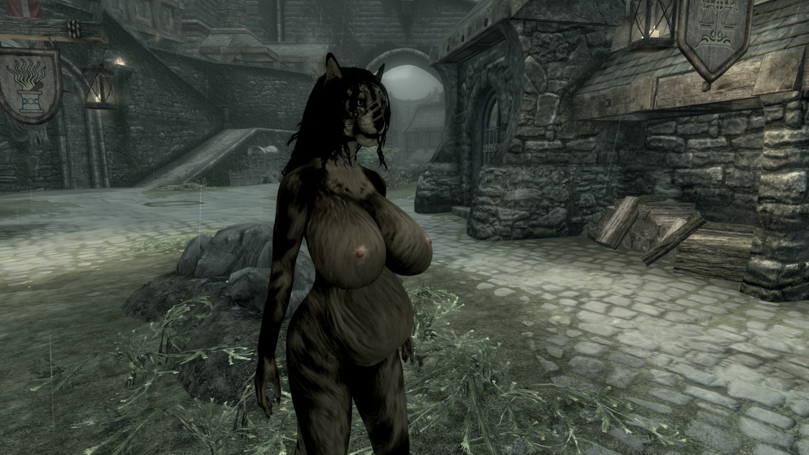 Post 1102930: gmod Khajiit Skyrim The_Elder_Scrolls