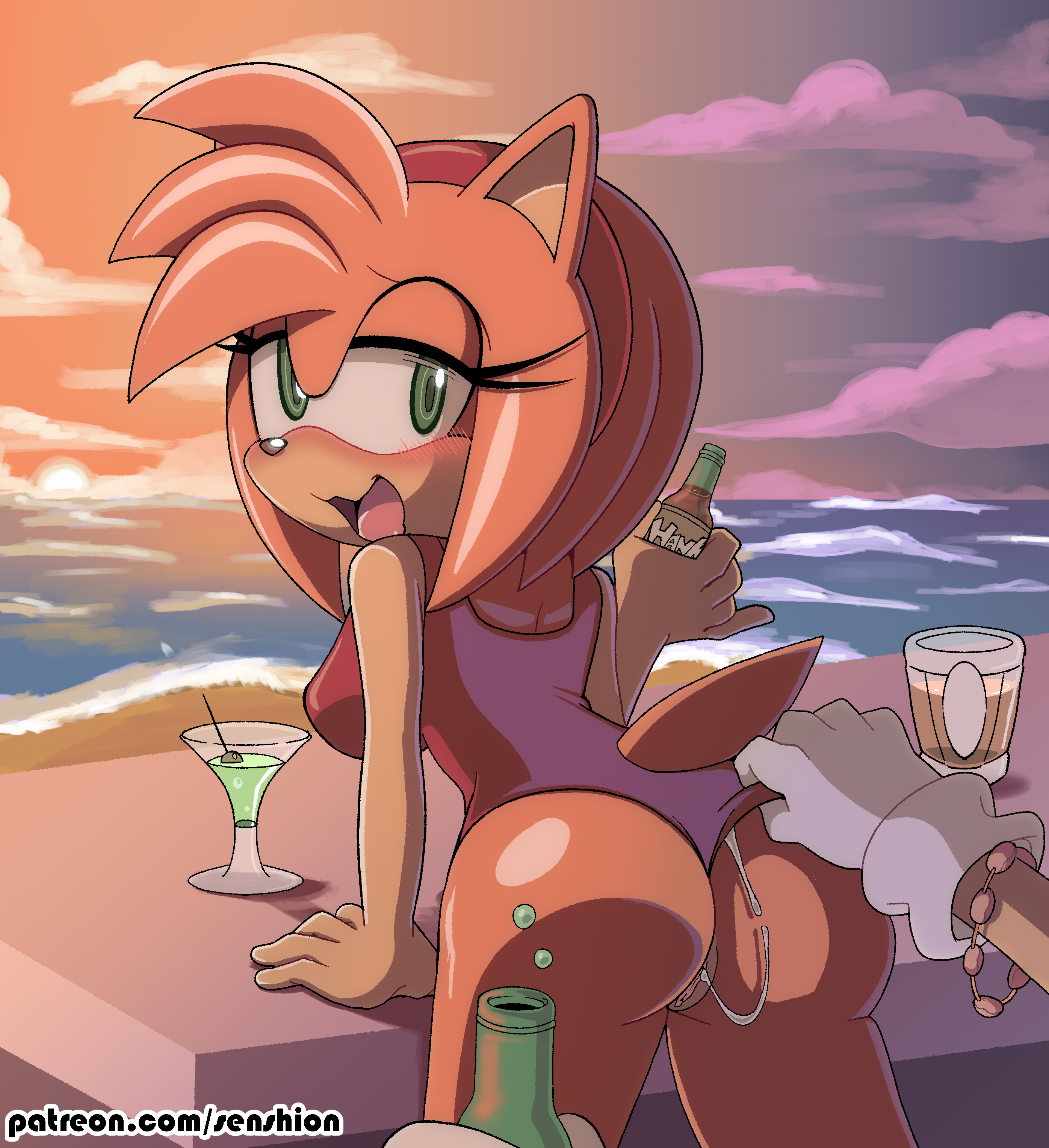 Sonic x amy rule 34