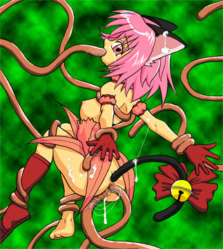 Ichigo_Momomiya Tokyo_Mew_Mew