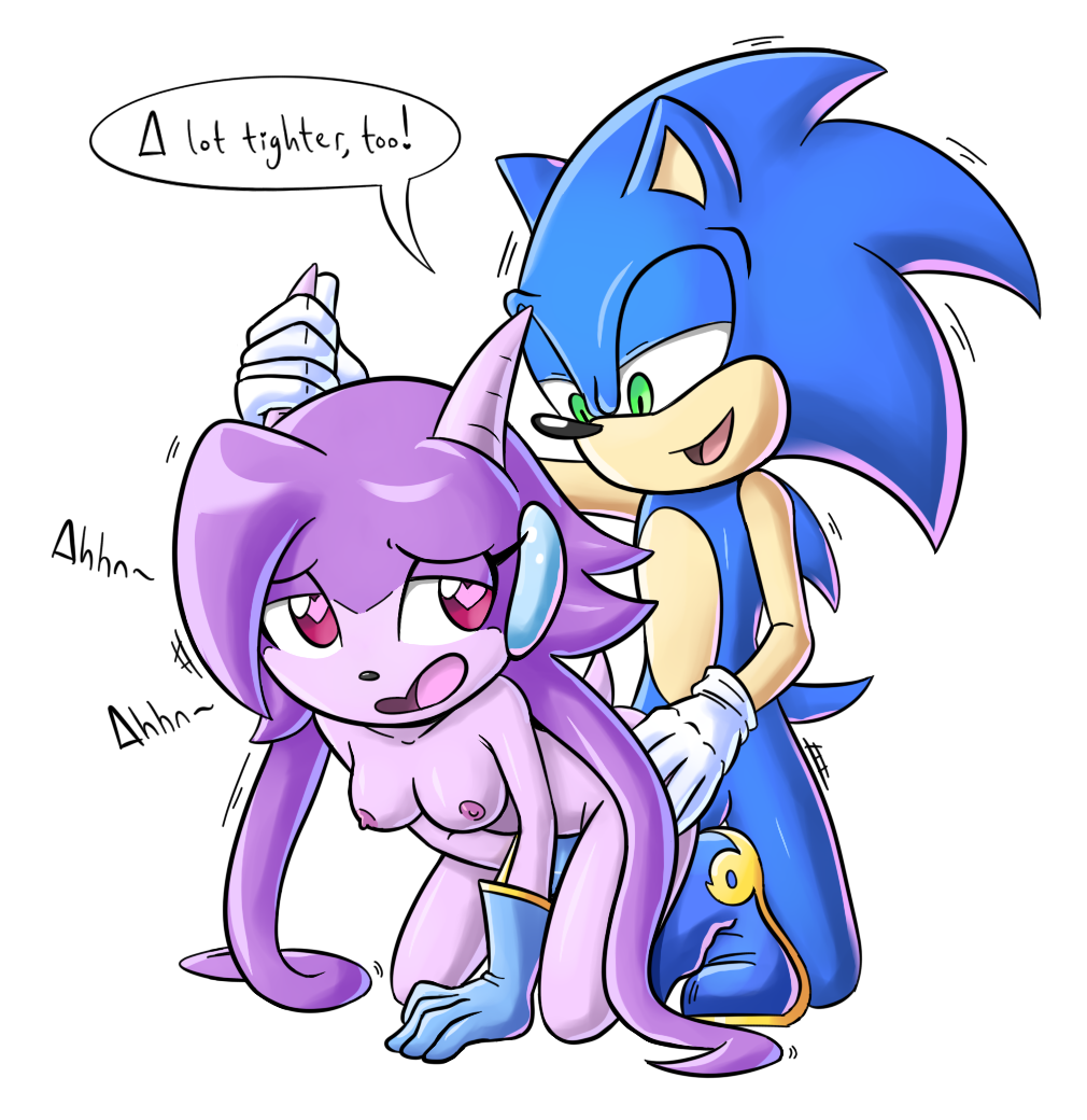 Post 1558400: crossover Freedom_Planet Sash_Lilac Sonic_the_Hedgehog  Sonic_the_Hedgehog_(series)