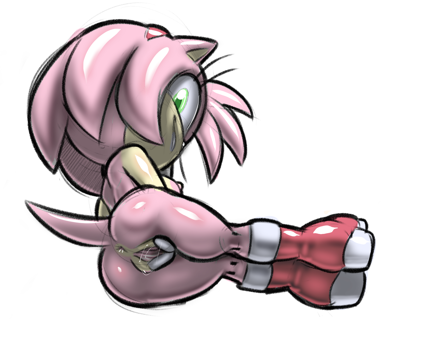 Amy_Rose RocktheBull Sonic_the_Hedgehog_(series)