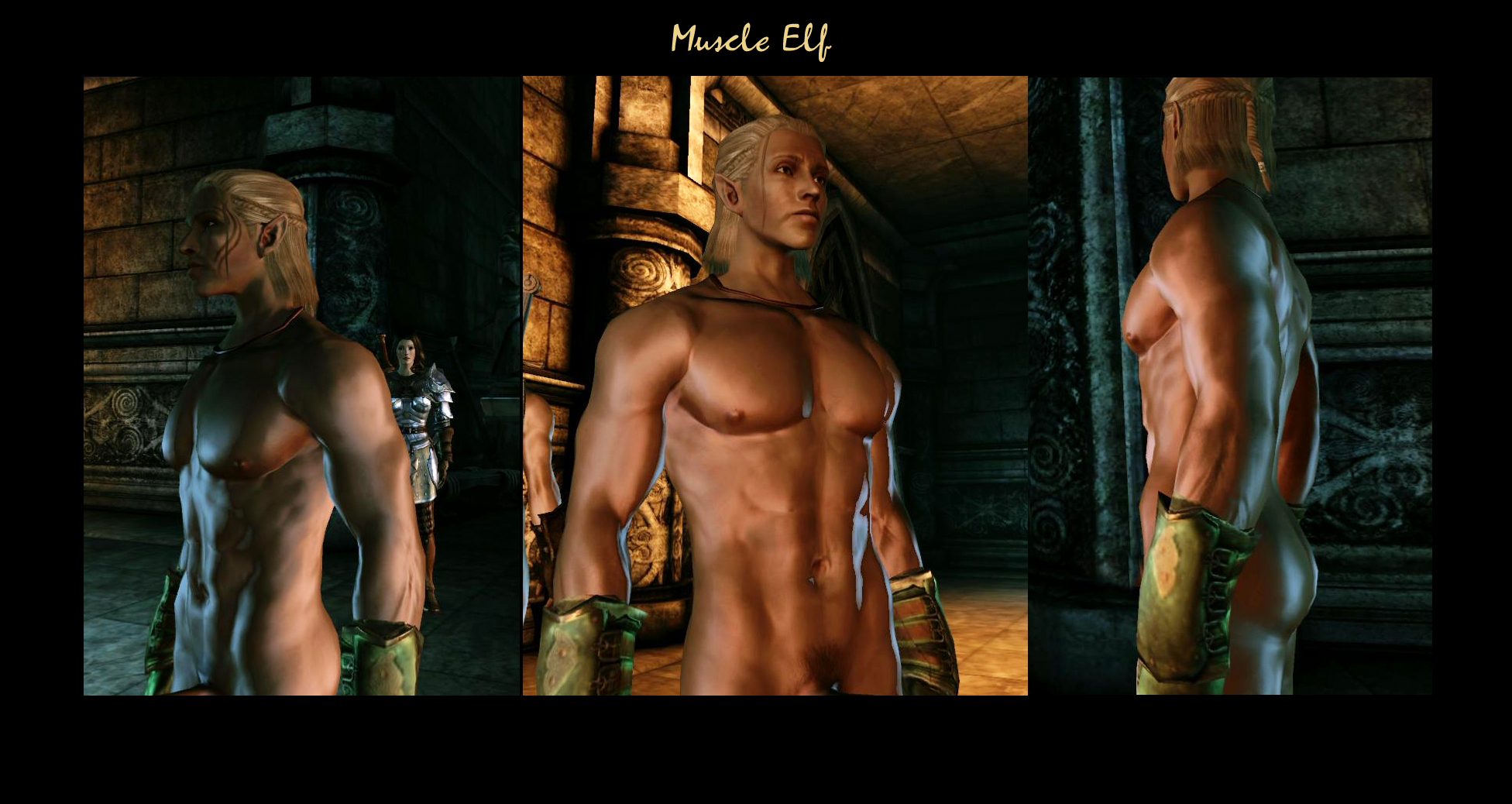 Post 560434: Dragon_Age Dragon_Age_Origins elf Grey_Warden Zevran