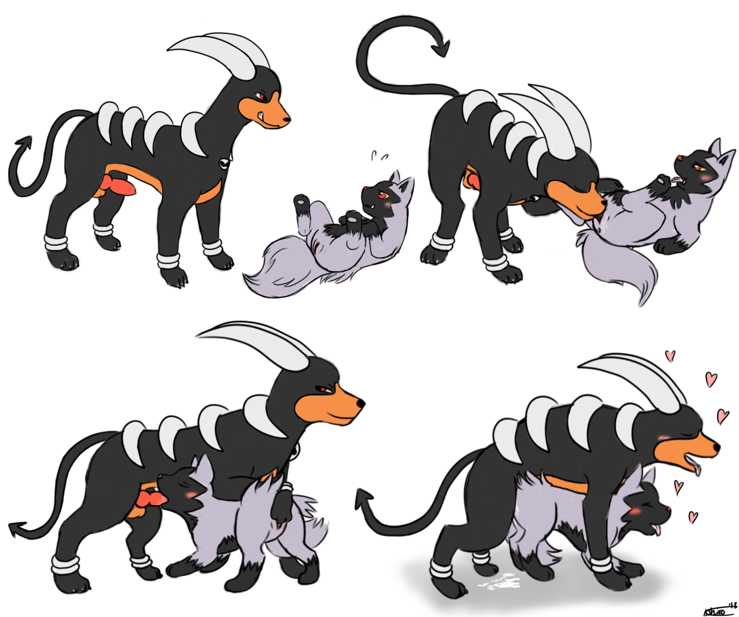 Post 1099557: Houndoom Kyoushiro Poochyena Porkyman