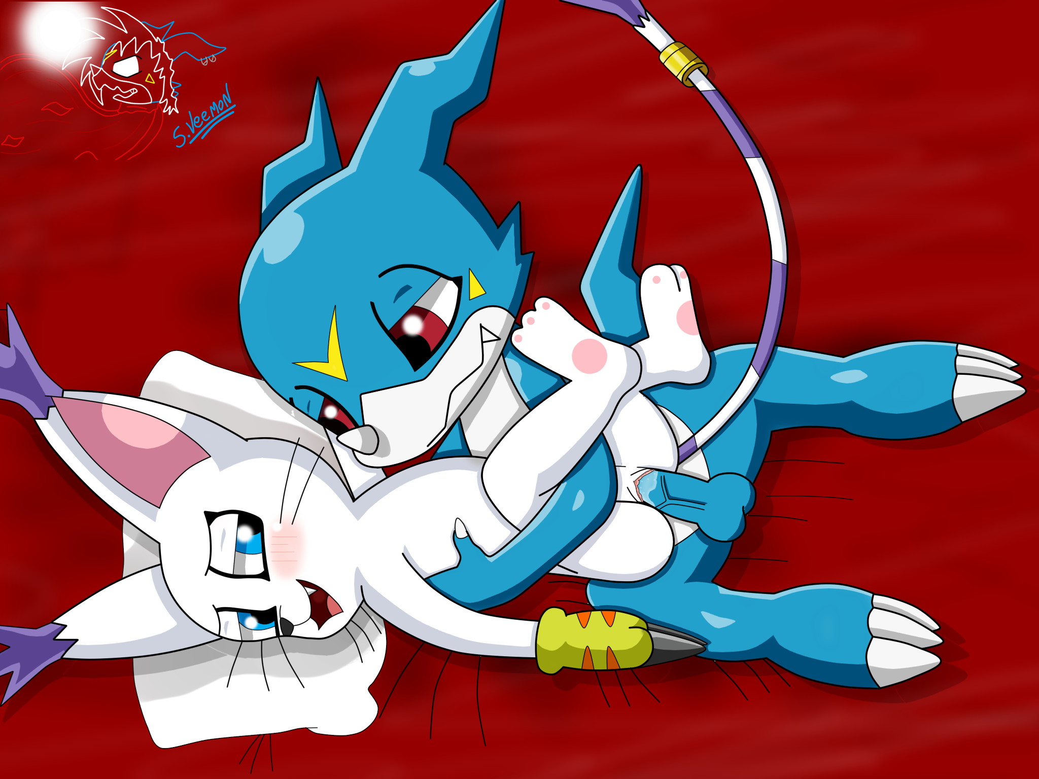 Veemon gatomon