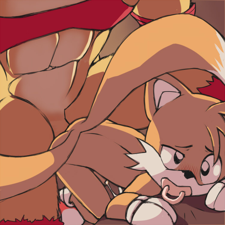 Sonic_the_Hedgehog_(series) Tails finegan