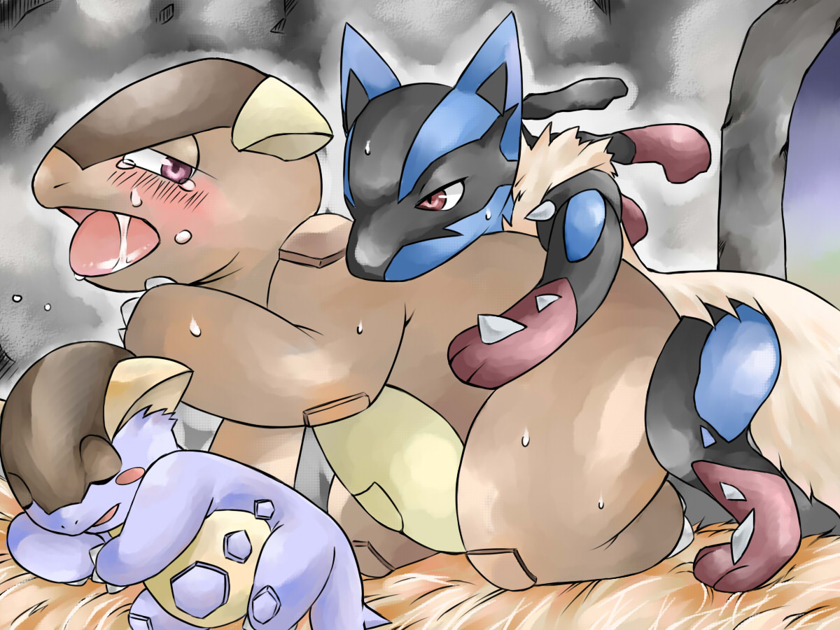 Post 1428826 Kangaskhan Lucario Mega Evolution Mega Kangaskhan Mega Lucario Porkyman