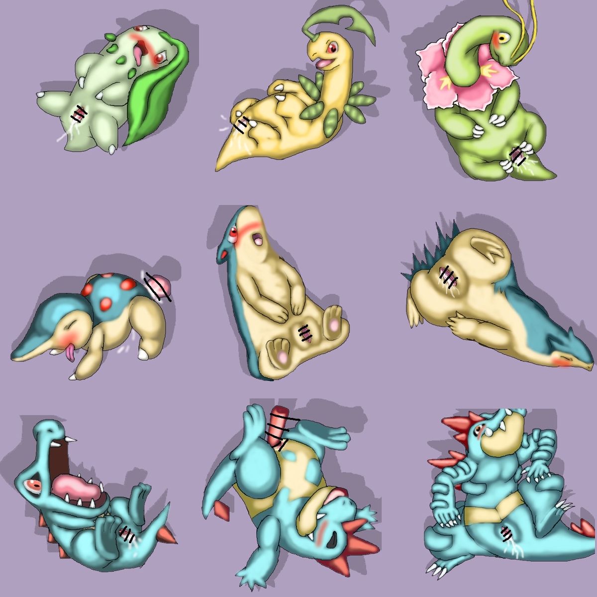 Bayleef Chikorita Croconaw Cyndaquil Feraligatr Meganium Porkyman Quilava Totodile Typhlosion