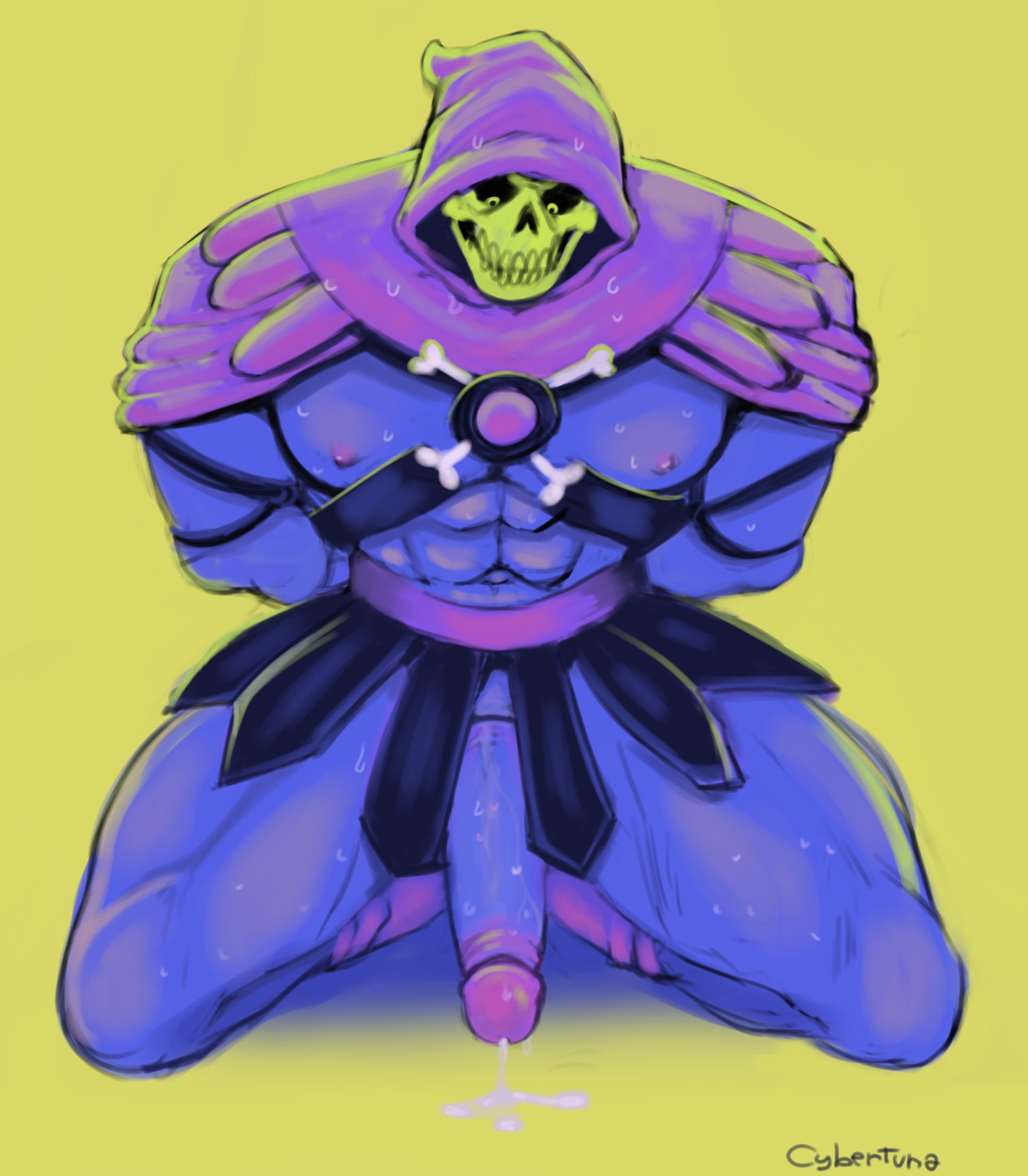 Cybertuna Masters_of_the_Universe Skeletor