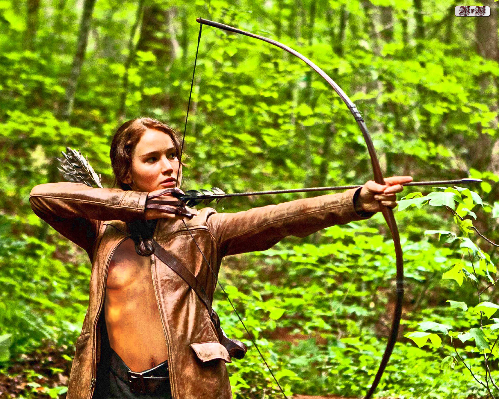 Post 2345022 Fakes Jenniferlawrence Katnisseverdeen Mrmears Thehungergames 